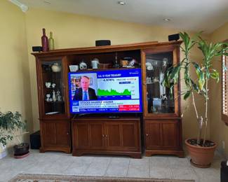 Entertainment Cabinet