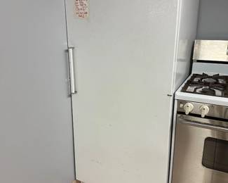 GE Freezer