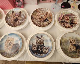 Yorkie plates, there are 17 of them
