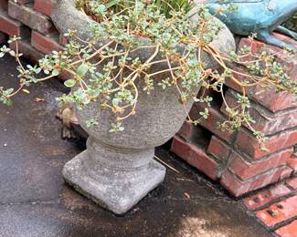Concrete Planter