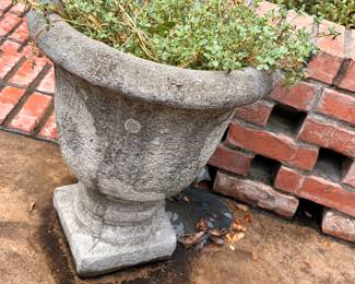 Heavy Concrete Planters