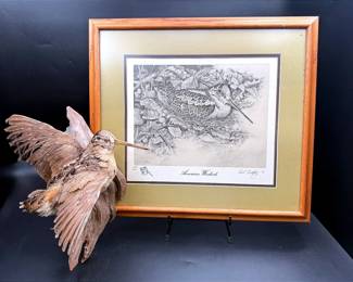 Pencil Drawing “American Woodcock” By Karl Badgley & A Mounted American Woodcock