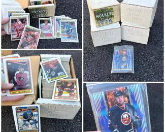 067 1990shockeycardcollectionopeechee