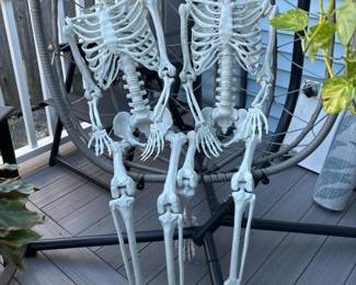 004 pairoflifesizeplastichumanskeleton