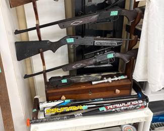 Pellet and BB guns