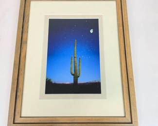 Lot #B47 - Shane Knight “Cactus Moon” Signed Arizona Landscape Photograph – Tonto National Forest