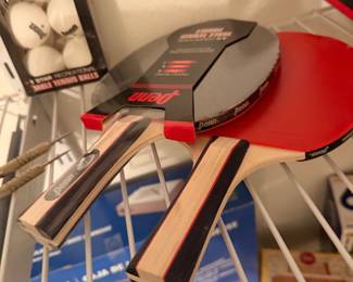 Ping pong anyone???