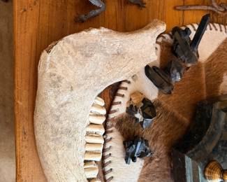 Bison mandible Smoky quartz