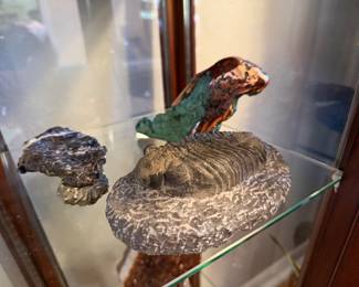 Fossil