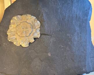 Natural pyrite sun