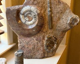 LARGE Orthoceras & ammonite