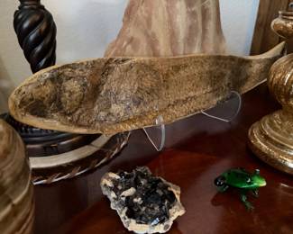 Brazilian Cretaceous Period fossil 100+ million years old