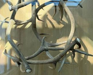 Top View of Glass Top Antler Coffee Table