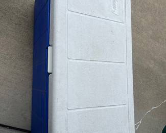 Cooler - Large