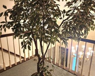 Faux ficus