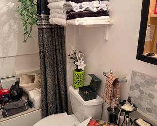 Bathroom Decor and Shower Curtain