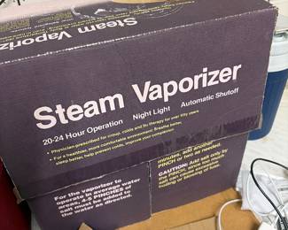 Steam vaporizer