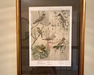 Several Framed “Portraits of New England Birds” by LA Fuertes