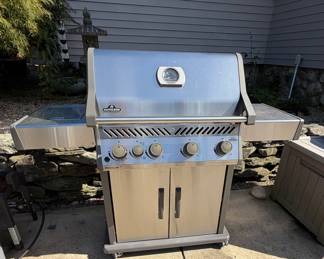 Napoleon “Rogue” Gas Grill