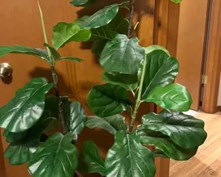 5 Artificial Ficus Tree
