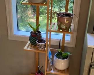 House Plants and More on Wooden Display Shelf