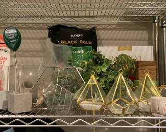 Indoor Plant Growing and Display