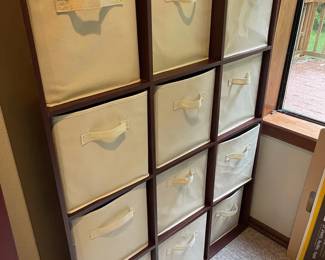 Twelve Cube Storage Shelf With Cloth Bins