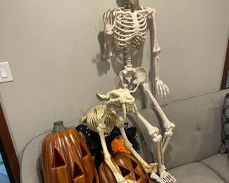 Halloween Decor Featuring Full Size Skeleton