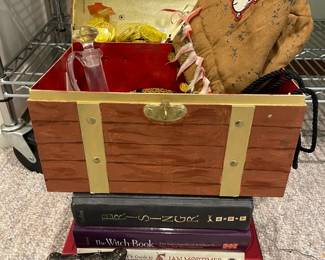 Witchery Books  Play Dragonolgy Book  Pirate Dress Up Items