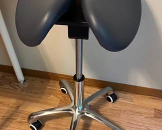 Ergonomic Task Chair