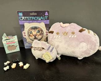 Pusheen Cat Pillows Magnets  More