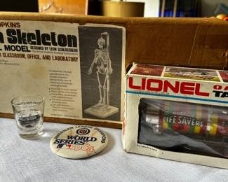 Vintage John Hopkins, human skeleton