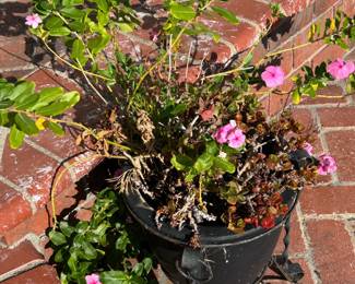 Plants, pots and yard art. 