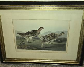 ANTIQUE AUDUBON GAME BIRD PRINT