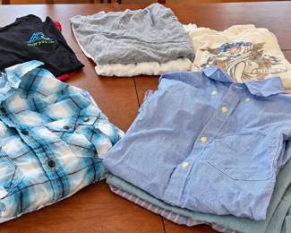 Ralph Lauren, Lucky Brand, Michael Kors American Eagle Mens Shirts Mystery Lot