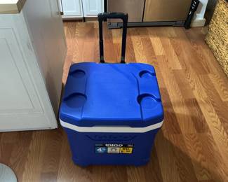Igloo Cooler