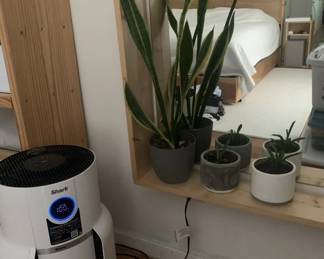 Air Purifier and Plants