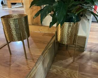 Plant stands and plants