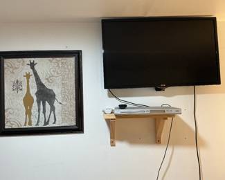 Television and DVD