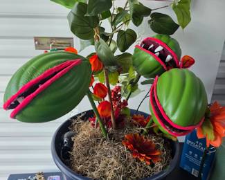 custom, home-crafted "Audrey II" monster plant prop, heavily inspired by the classic movie and musical Little Shop of Horrors $20