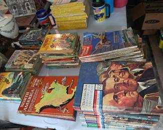 The Golden Book History of U.S.A. 1960's