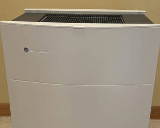 Lot 37: Blueair Air Purifier