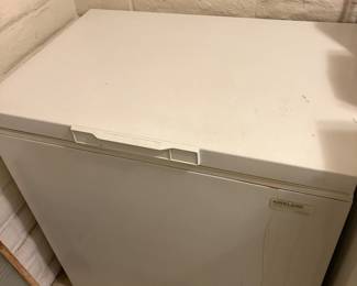 Kirkland freezer