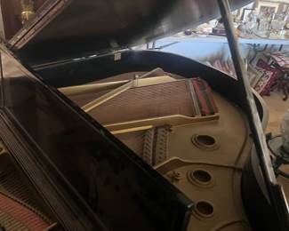 Piano Interior And Strings
