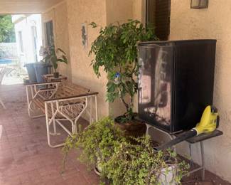 Patio Plants And Compact Refrigerator