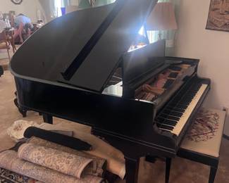 Grand Piano And Bench