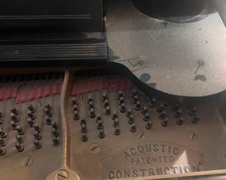 Piano Interior Plate Detail