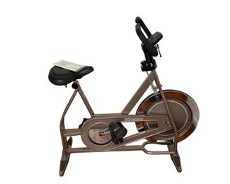 Schwinn DX900 Stationary Exercise Bicycle
