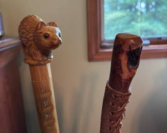 Assorted Canes