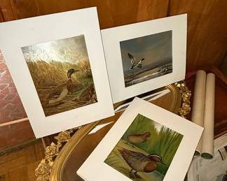 Vintage Duck Stamp Prints